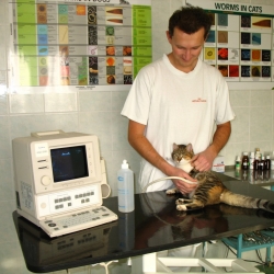 veterinar_11