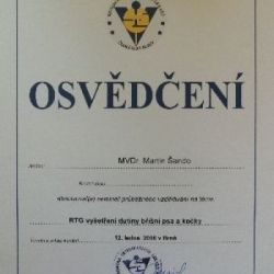 certifikat4